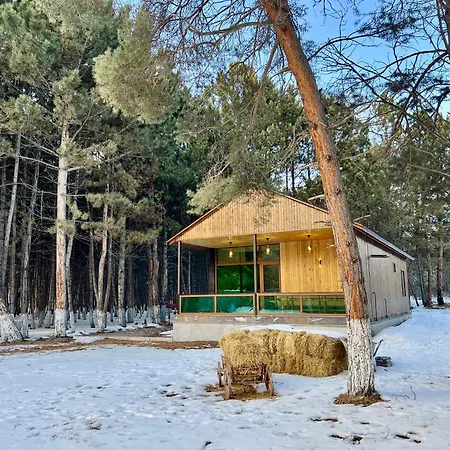 Milenium Magic Villa On Sevan Beach Exterior photo